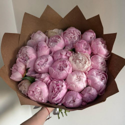 25 розовых пионов